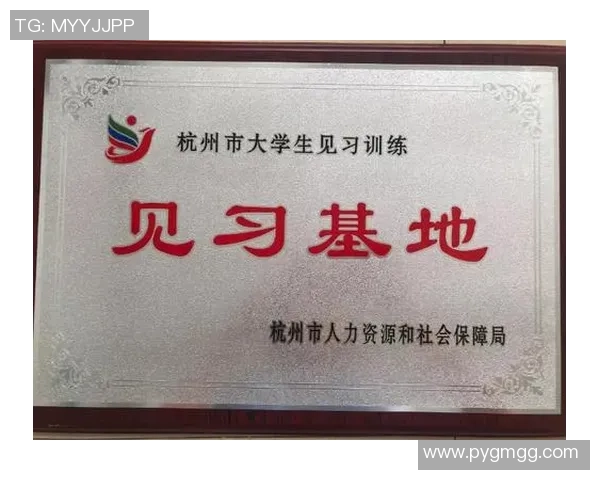 杭州羽毛球队实力深度解析与其他队伍的全面对比分析