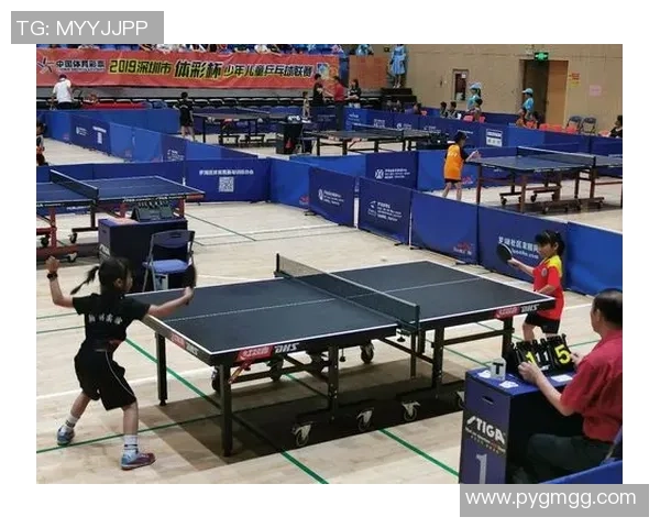 武汉乒乓球队与深圳乒乓球队赛后分析个人能力的深度对比与启示